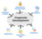 Corporate Development