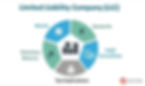 Limited Liability Company