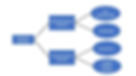 Business Structure