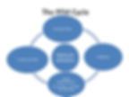 Public Finance Management Cycle