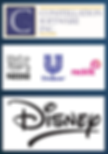 Corporate Development Firms