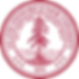 Stanford Logo